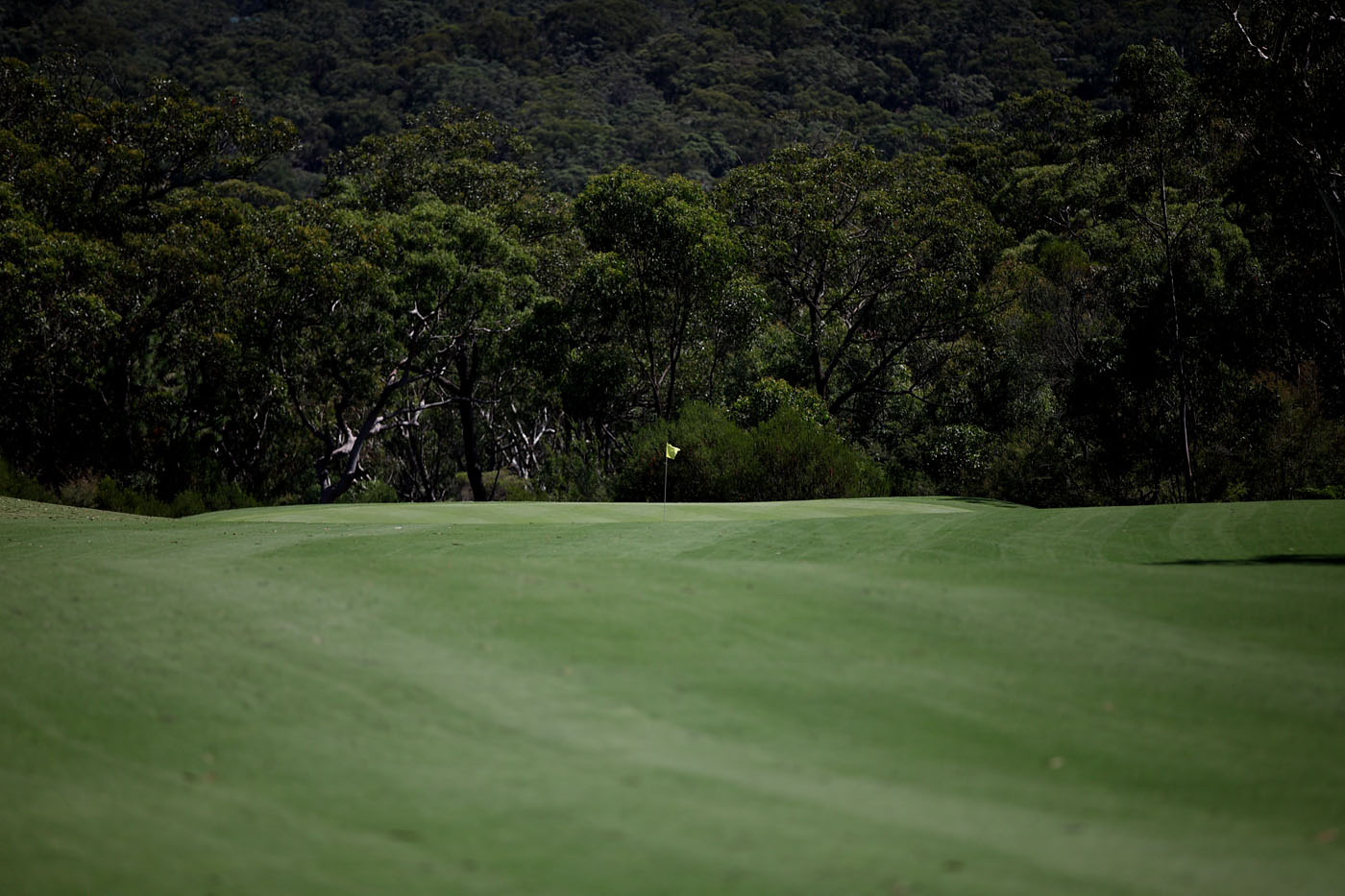 The Springs Central Coast golf course